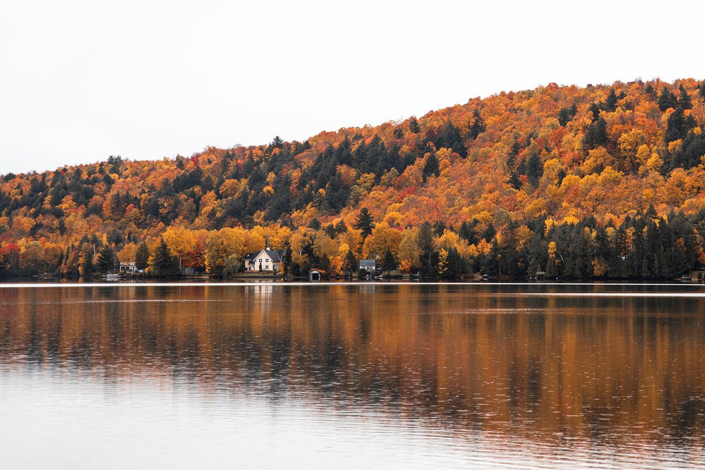 Lakeside in the Fall