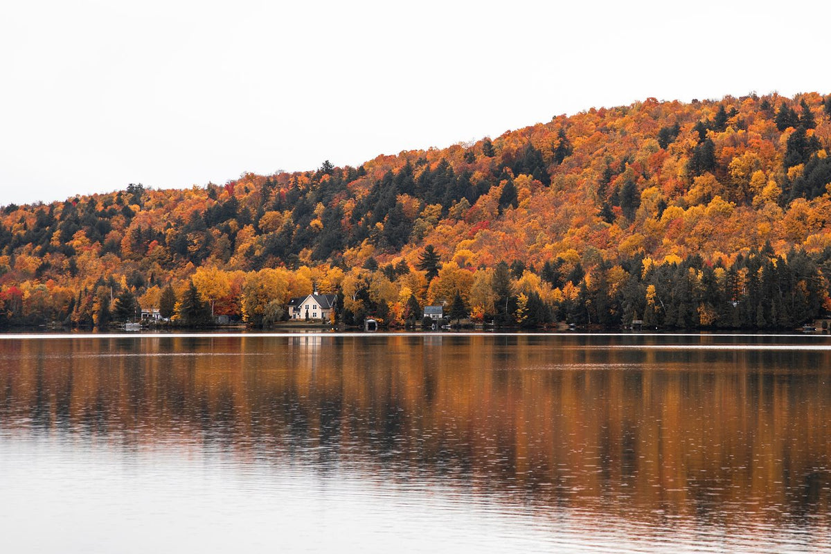 Lakeside in the Fall