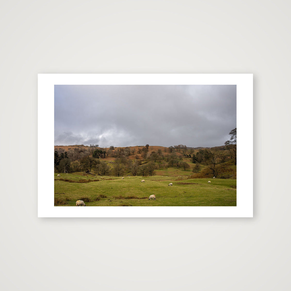 Grazing on the Hills — 45×30cm, 18×12" Print only