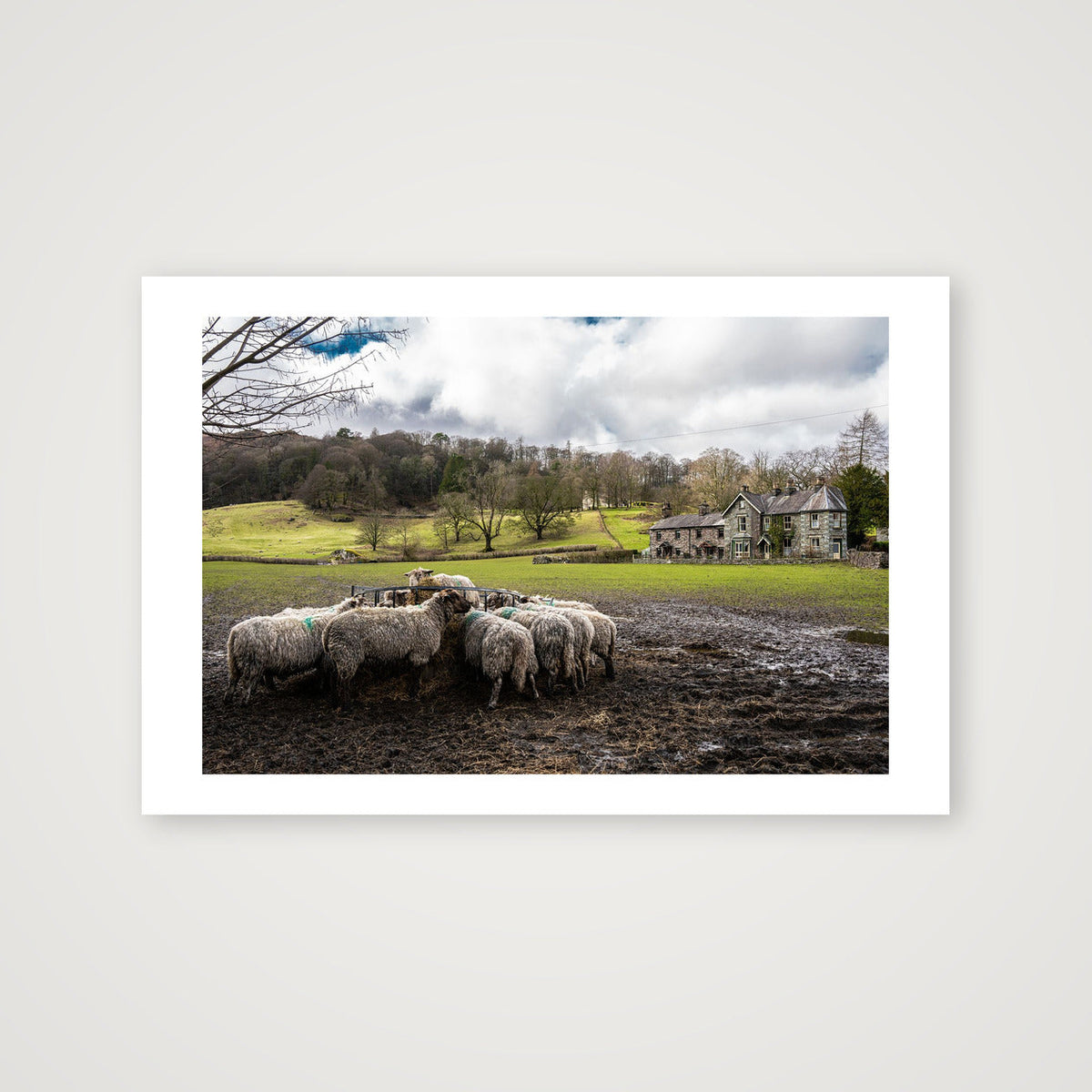 Lunch Time — 60×40cm, 24×16" Print only