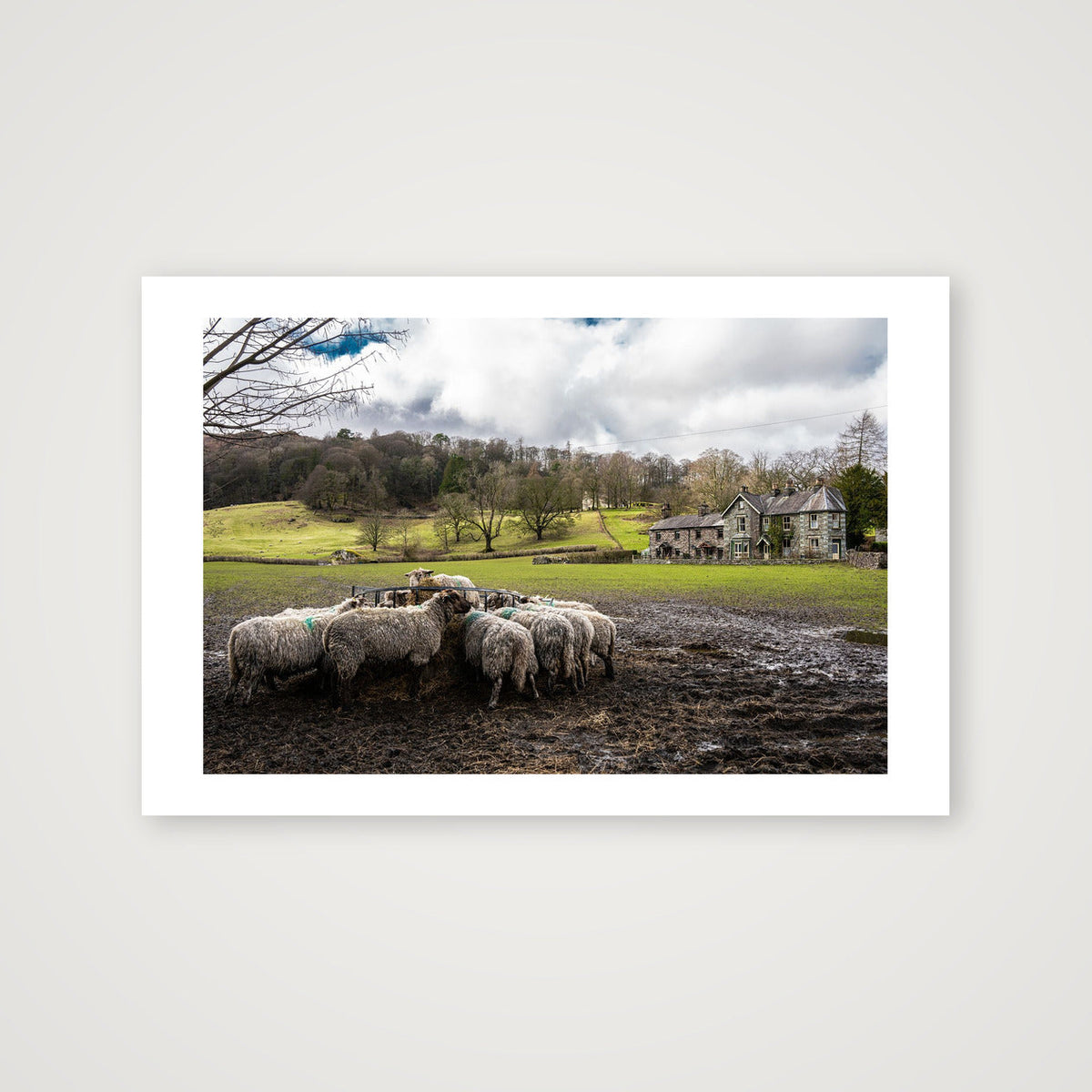 Lunch Time — 45×30cm, 18×12" Print only