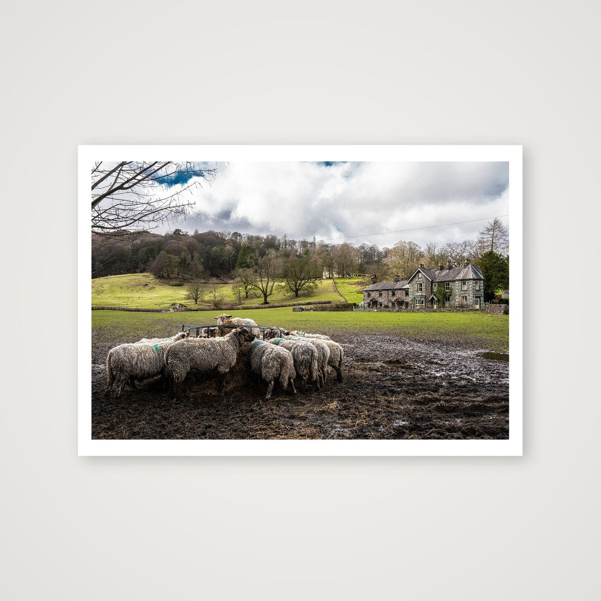 Lunch Time — 100×70cm, 39×28" Print only
