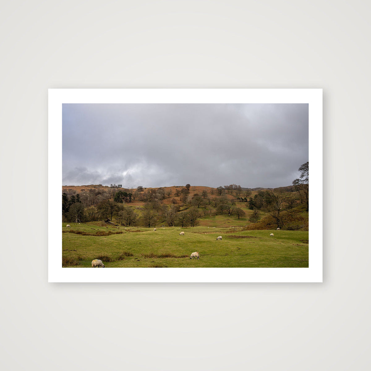 Grazing on the Hills — A4 (30×21cm, 12×8") Print only