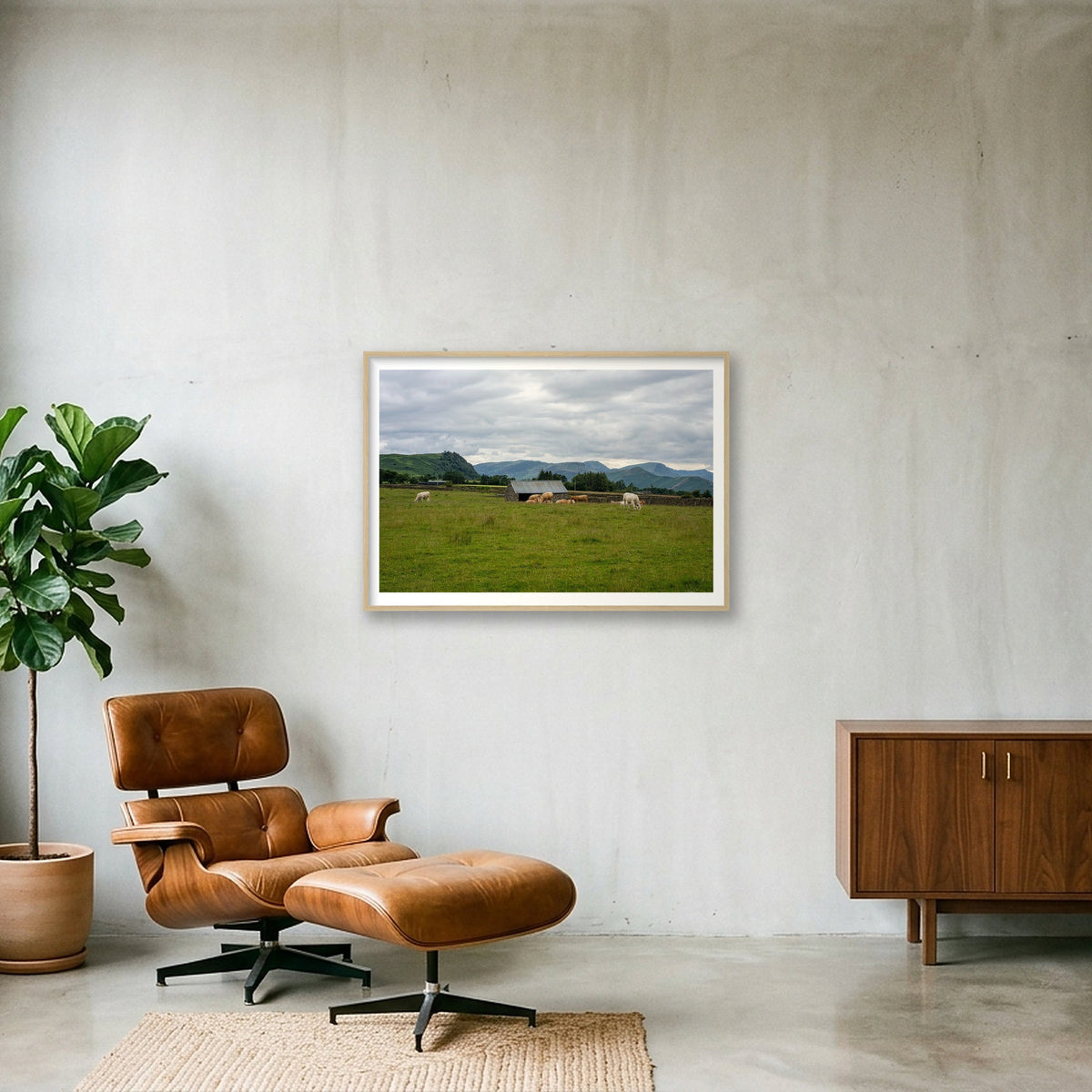 Grazing Cattle — 100×70cm, 39×28" Oak Frame