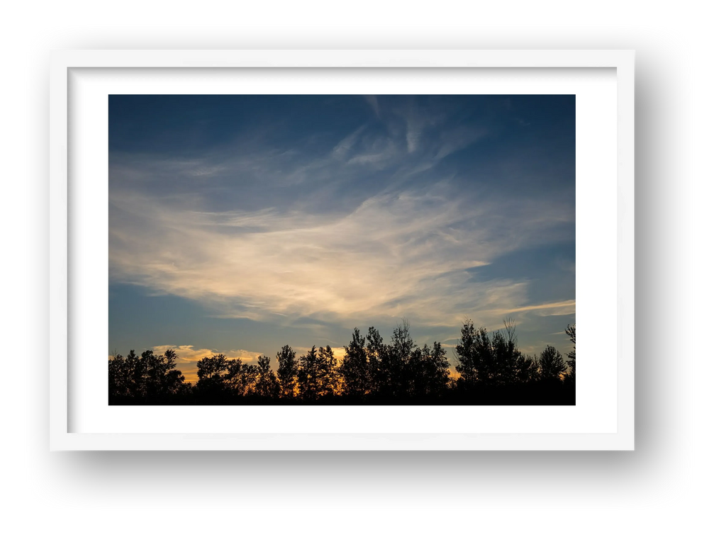 Sunset Over the Trees — framed