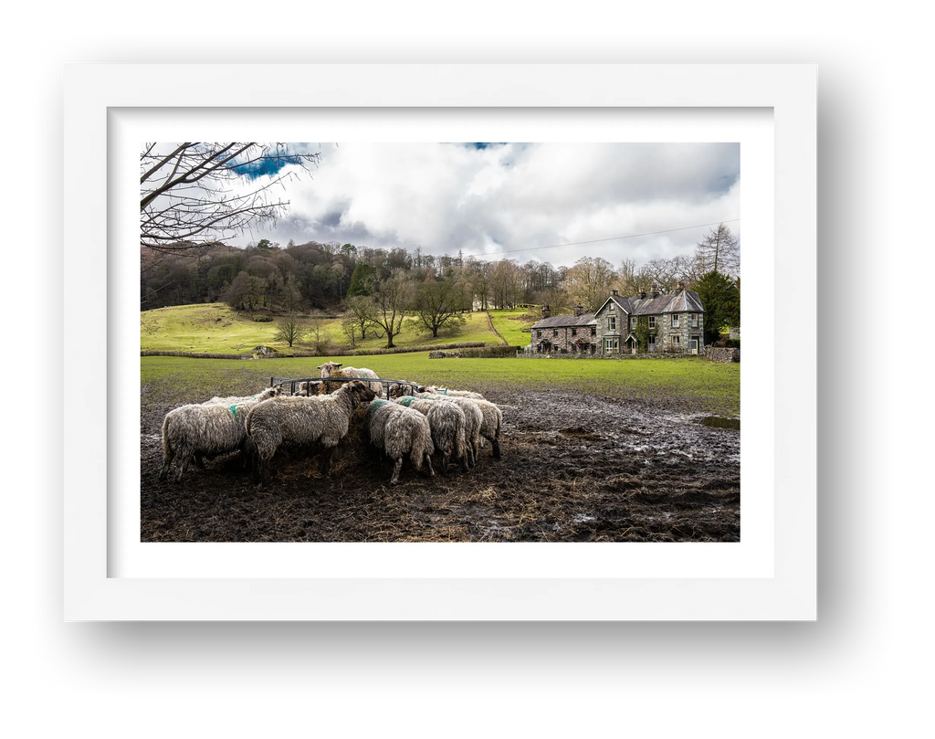 Lunch Time — framed