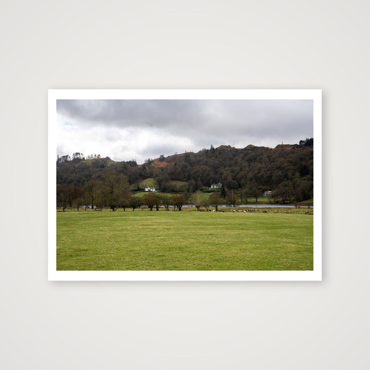 House on the Hills — 100×70cm, 39×28" Print only
