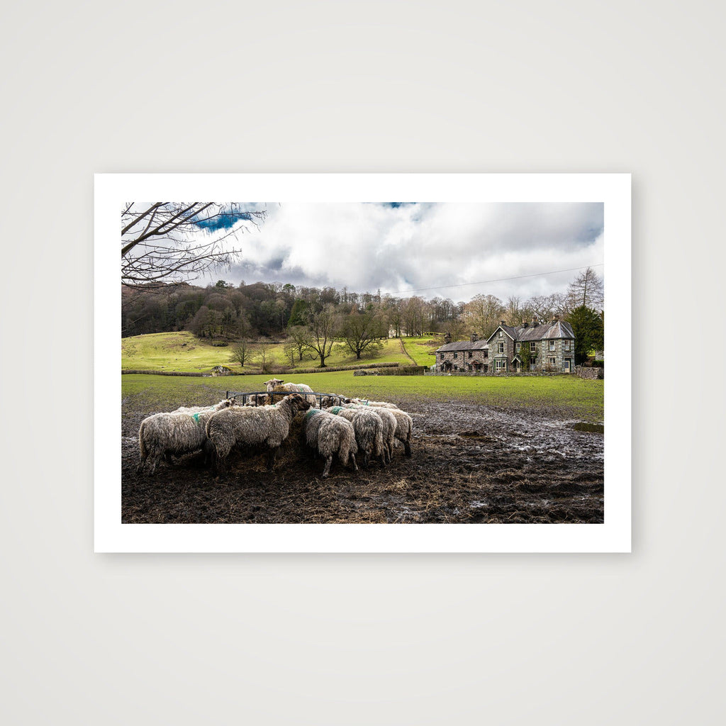 Lunch Time — A4 (30×21cm, 12×8") Print only