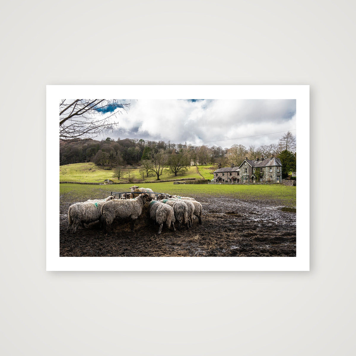 Lunch Time — A4 (30×21cm, 12×8") Print only