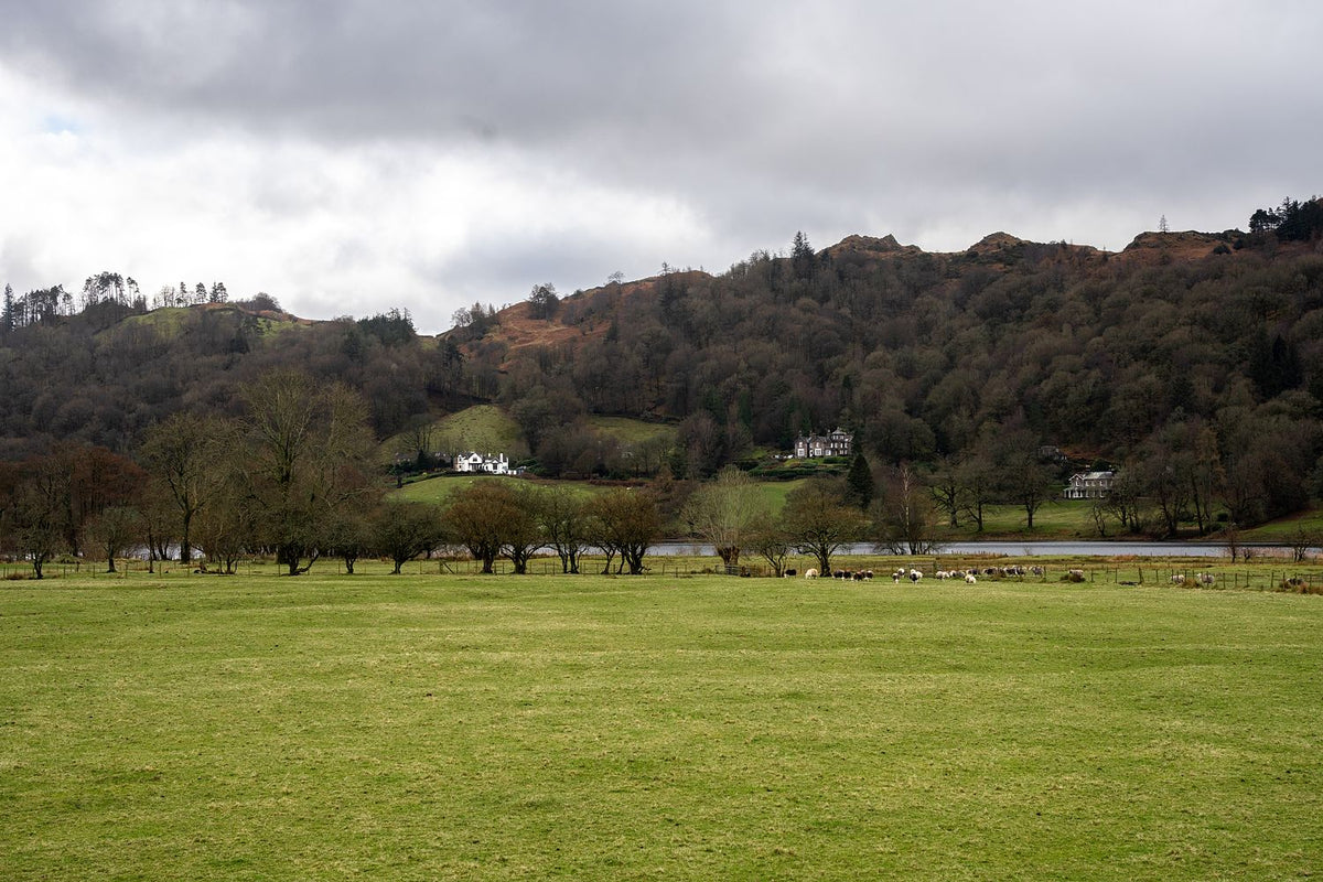 House on the Hills